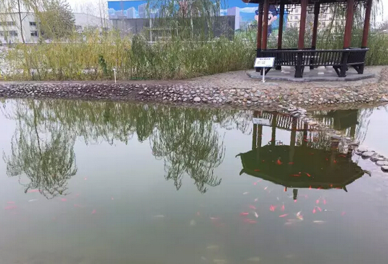 下雪天的躍迪集團，咱也跟跟風。。。