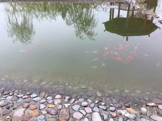 下雪天的躍迪集團，咱也跟跟風。。。