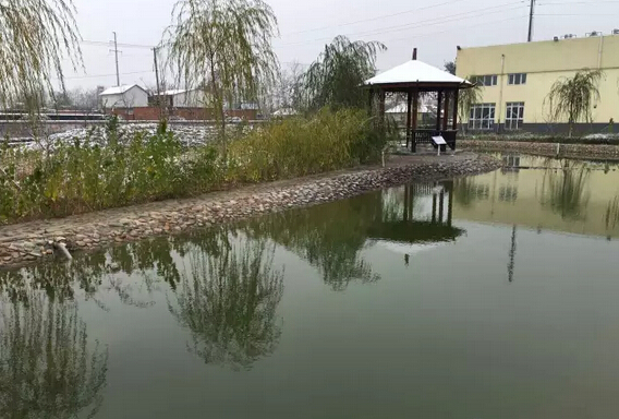 下雪天的躍迪集團，咱也跟跟風。。。