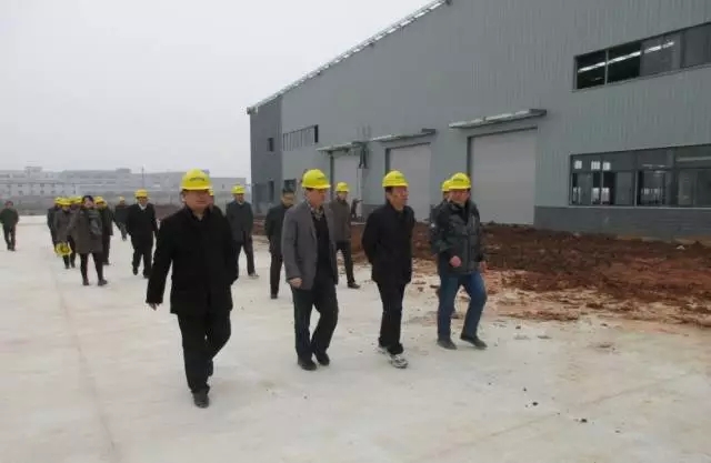 安慶市委書記虞愛華一行到安慶安達爾公司調研