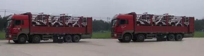 躍迪移動(dòng)城管執(zhí)法站、躍迪電動(dòng)巡邏車大批量發(fā)往首都北京——有躍迪,才安心