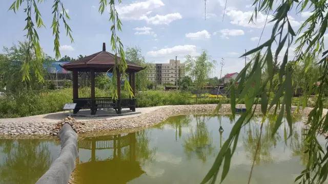 躍迪十年發(fā)展引人贊，百年躍迪輝煌令人盼