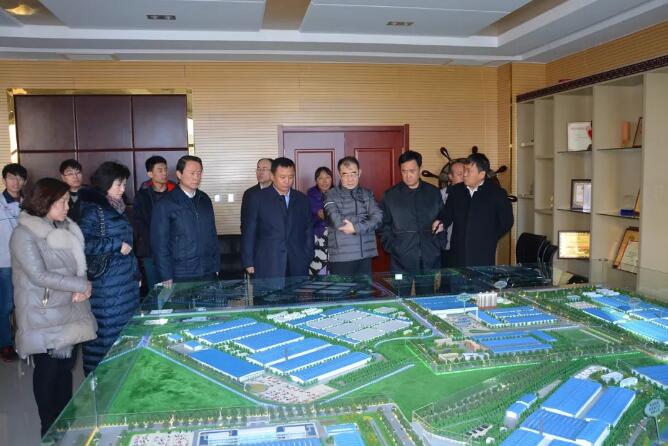 河北省政協副主席許寧一行蒞臨躍迪集團參觀指導工作